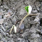 20112308130806-496.jpg